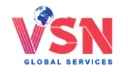 VSN Global Services